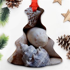 Beautiful Seashells  Christmas Tree Ornament (two Sides) by StarvingArtisan