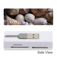 Beautiful Seashells  Memory Card Reader (stick) by StarvingArtisan