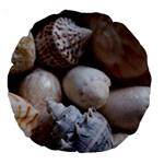 Beautiful Seashells  Large 18  Premium Round Cushions Back