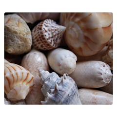 Beautiful Seashells  Premium Plush Fleece Blanket (small) by StarvingArtisan