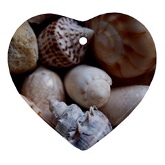 Beautiful Seashells  Ornament (heart) by StarvingArtisan