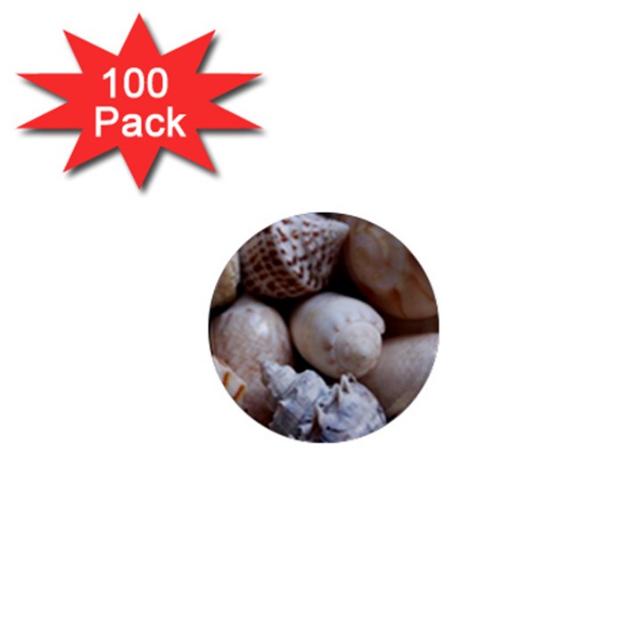 Beautiful Seashells  1  Mini Magnets (100 pack) 