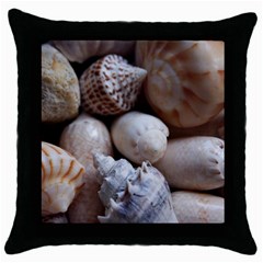 Beautiful Seashells  Throw Pillow Case (black) by StarvingArtisan