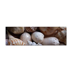 Beautiful Seashells  Sticker (bumper) by StarvingArtisan