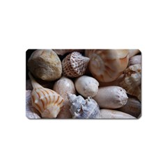 Beautiful Seashells  Magnet (name Card) by StarvingArtisan