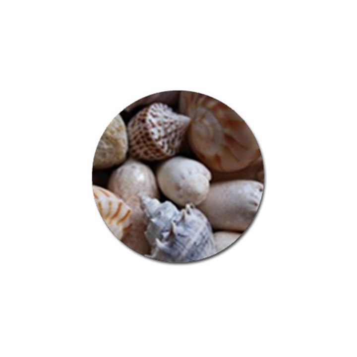 Beautiful Seashells  Golf Ball Marker