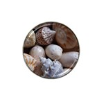 Beautiful Seashells  Hat Clip Ball Marker (10 pack) Front