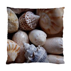 Beautiful Seashells  Standard Cushion Case (one Side) by StarvingArtisan