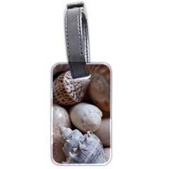 Beautiful Seashells  Luggage Tag (two Sides) by StarvingArtisan