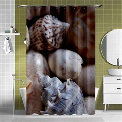 Beautiful Seashells  Shower Curtain 48  X 72  (small)  by StarvingArtisan