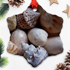 Beautiful Seashells  Snowflake Ornament (two Sides) by StarvingArtisan