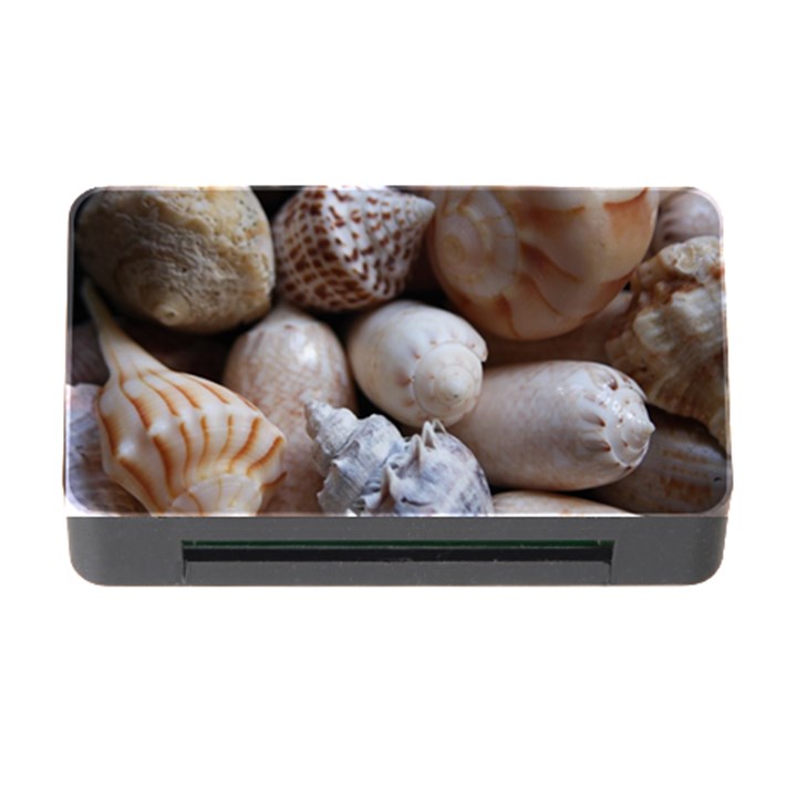 Beautiful Seashells  Memory Card Reader with CF