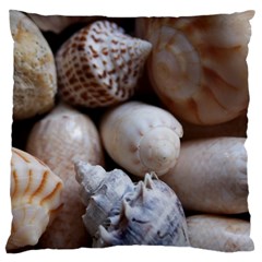 Beautiful Seashells  Large Cushion Case (two Sides) by StarvingArtisan