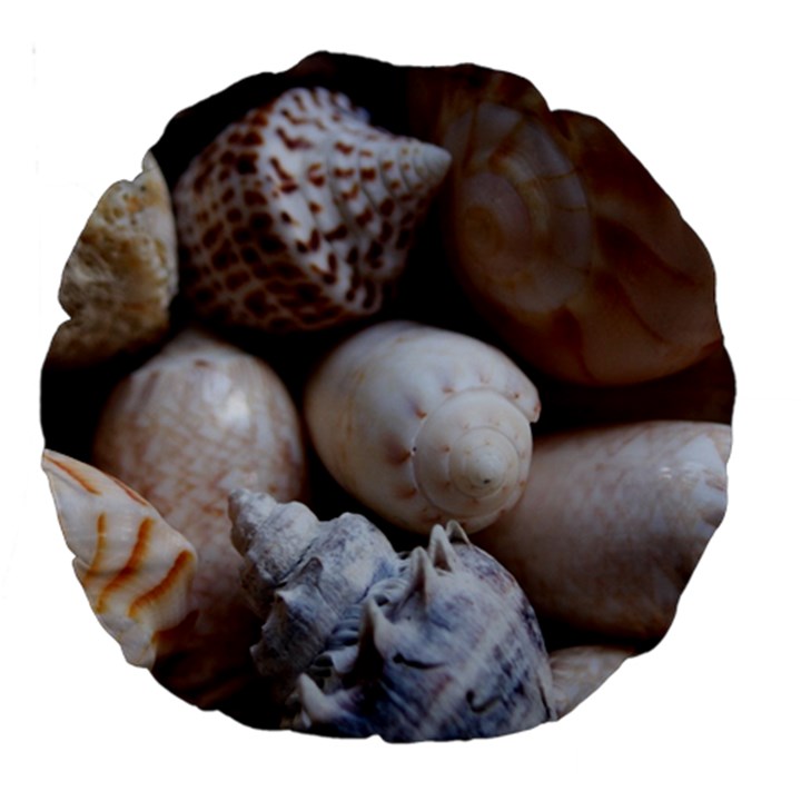 Beautiful Seashells  Large 18  Premium Round Cushions