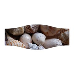 Beautiful Seashells  Stretchable Headband by StarvingArtisan