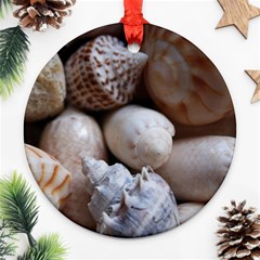 Beautiful Seashells  Ornament (round) by StarvingArtisan