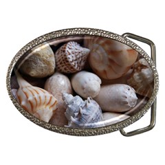 Beautiful Seashells  Belt Buckles by StarvingArtisan