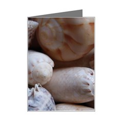 Beautiful Seashells  Mini Greeting Card by StarvingArtisan