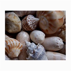 Beautiful Seashells  Small Glasses Cloth by StarvingArtisan