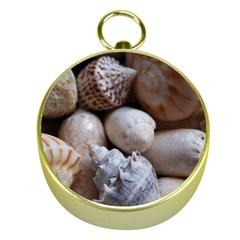 Beautiful Seashells  Gold Compasses by StarvingArtisan