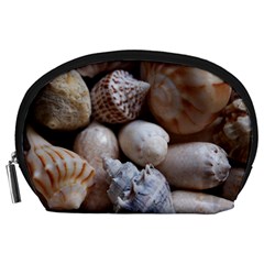 Beautiful Seashells  Accessory Pouch (large) by StarvingArtisan