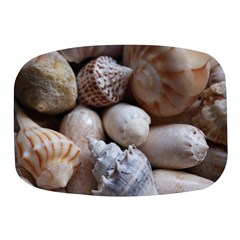 Beautiful Seashells  Mini Square Pill Box by StarvingArtisan