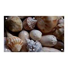 Beautiful Seashells  Banner And Sign 5  X 3  by StarvingArtisan