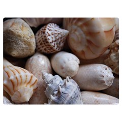 Beautiful Seashells  One Side Premium Plush Fleece Blanket (extra Small) by StarvingArtisan