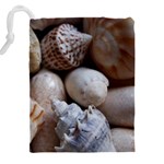 Beautiful Seashells  Drawstring Pouch (4XL) Back