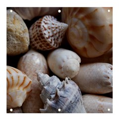 Beautiful Seashells  Banner And Sign 4  X 4  by StarvingArtisan