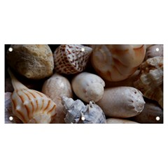 Beautiful Seashells  Banner And Sign 6  X 3  by StarvingArtisan