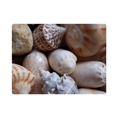 Beautiful Seashells  One Side Premium Plush Fleece Blanket (mini) by StarvingArtisan