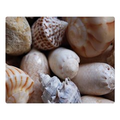 Beautiful Seashells  One Side Premium Plush Fleece Blanket (large) by StarvingArtisan