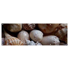 Beautiful Seashells  Banner And Sign 12  X 4  by StarvingArtisan