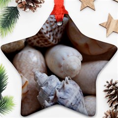 Beautiful Seashells  Ornament (star)