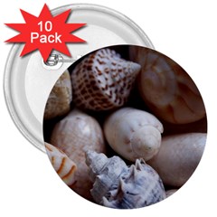 Beautiful Seashells  3  Buttons (10 Pack)  by StarvingArtisan