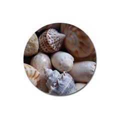 Beautiful Seashells  Magnet 3  (round) by StarvingArtisan