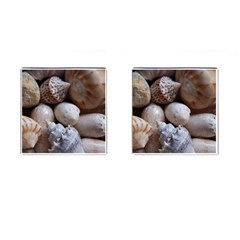 Beautiful Seashells  Cufflinks (square) by StarvingArtisan