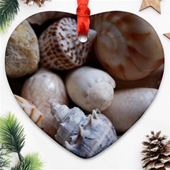 Beautiful Seashells  Heart Ornament (two Sides)