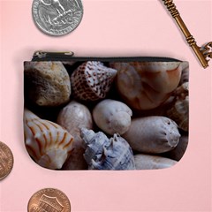 Beautiful Seashells  Mini Coin Purse by StarvingArtisan