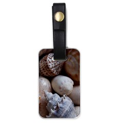 Beautiful Seashells  Luggage Tag (one Side) by StarvingArtisan