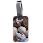 Beautiful Seashells  Luggage Tag (two sides) Front