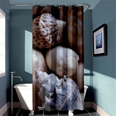 Beautiful Seashells  Shower Curtain 36  X 72  (stall)  by StarvingArtisan