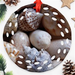 Beautiful Seashells  Ornament (round Filigree)