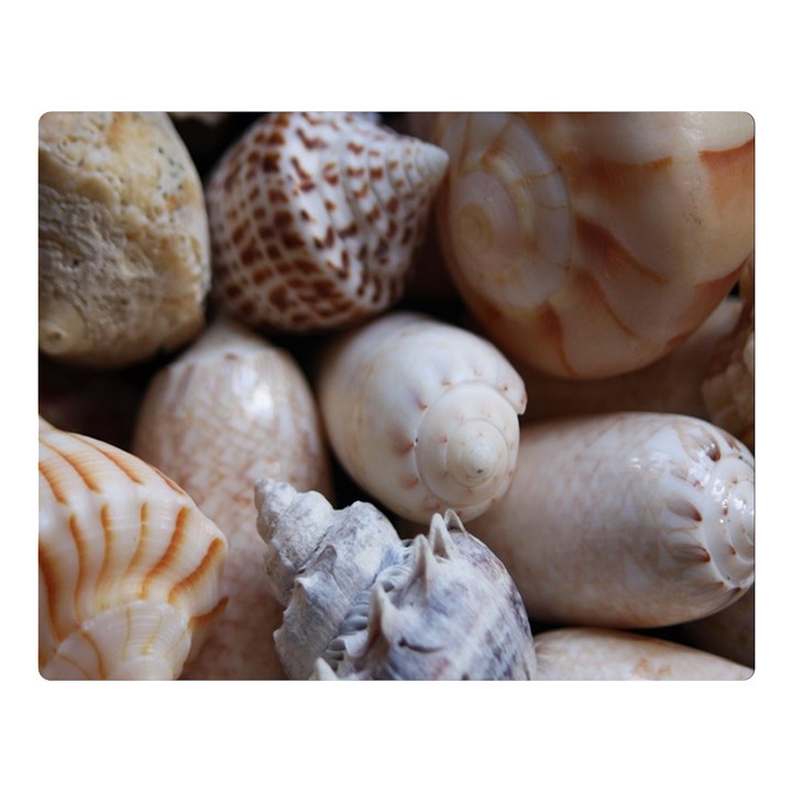 Beautiful Seashells  Premium Plush Fleece Blanket (Large)