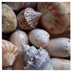 Beautiful Seashells  Wooden Puzzle Square by StarvingArtisan