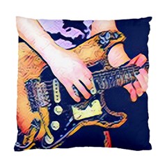 Stevie Ray Guitar  Standard Cushion Case (One Side)