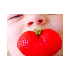 Strawberry Love One Side Premium Plush Fleece Blanket (mini)