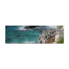 Isla Mujeres Mexico Sticker (bumper) by StarvingArtisan