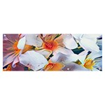 Daisy Painting  Banner and Sign 8  x 3  Front